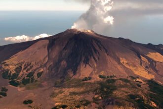 Trees May Be Able to Warn Us When a Volcano Is About to Erupt : ScienceAlert