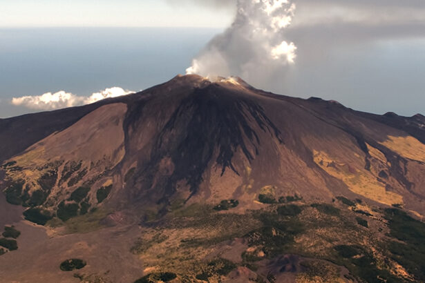 Trees May Be Able to Warn Us When a Volcano Is About to Erupt : ScienceAlert