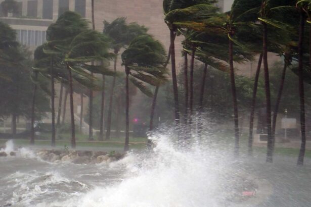 More Powerful Hurricanes but Less Frequent: Was 2025 Hurricane Season a Glimpse of the Future?