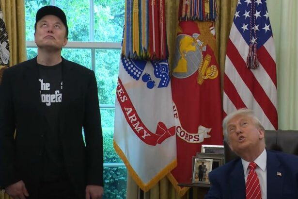 Trump And Elon Musk Hold A Disastrous Press Conference