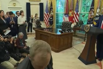 Trump Tantrums When He Gets Called A Chicken On Tariffs