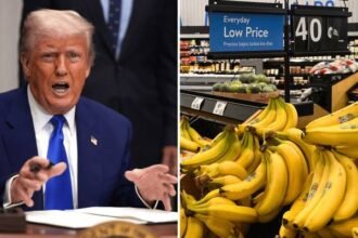 Trump slams Walmart over warning to consumers — but the costs could still hit your wallet