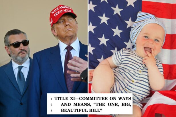 Trump’s ‘Big, Beautiful Bill’ includes ‘MAGA accounts’ proposal giving K to newborns