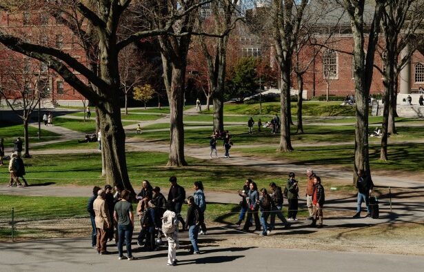 Trump’s Harvard assault is closing America off from the world