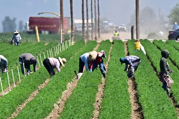 Trump’s USDA tried to erase climate data. This lawsuit forced it back online.