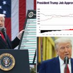 Trump’s tariffs were one of his most unpopular policies before trade court blocked them, polls suggest