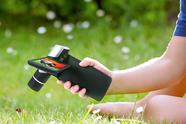 Turns out, every bug is horrifying when you zoom in x80