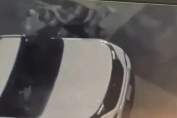 Two Female Secret Service Agents Suspended After Brawl Outside Obama’s D.C. Residence (VIDEO) |