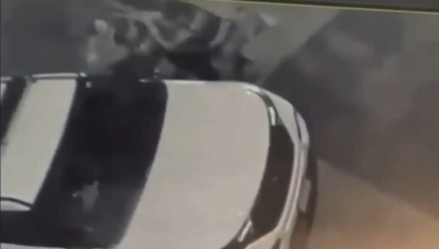 Two Female Secret Service Agents Suspended After Brawl Outside Obama’s D.C. Residence (VIDEO) |