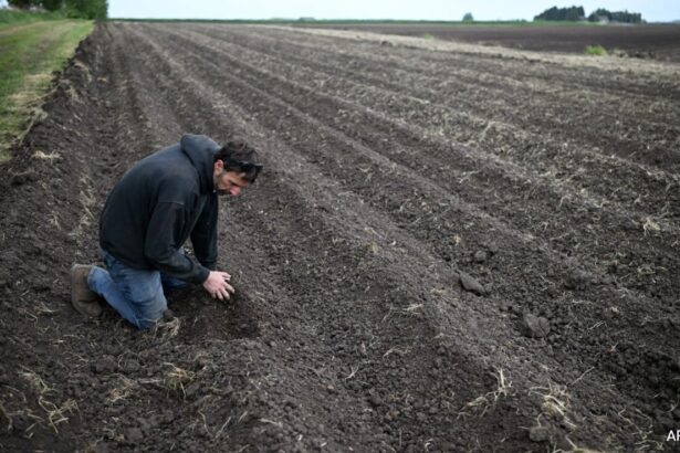 UK Farmers Pray For Rain Amid Driest Spring Since 1852