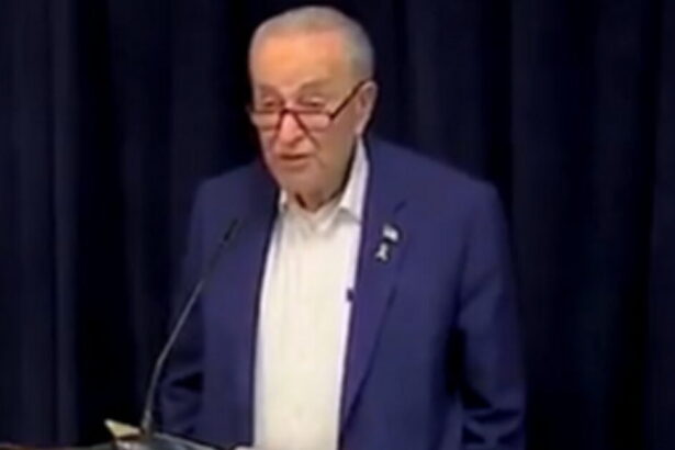 U.S. Coast Guard REJECTS Chuck Schumer’s Idiotic Suggestion That Trump Admin. to Blame for Mexican Ship Accident in NYC |