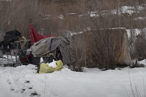 U.S. Forest Service Removes Homeless Camp From National Forest in Oregon to Do Maintenance Work |