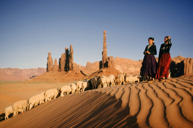 US Uranium Mining Legacy Still Harms the Navajo Nation 