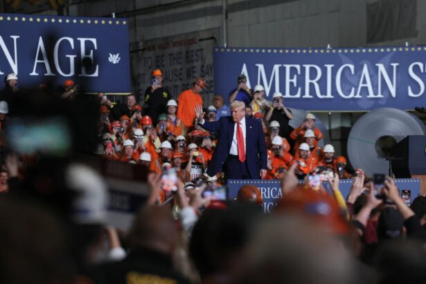 US to double steel, aluminium tariffs to 50%: Trump