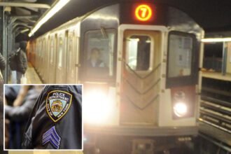 Unhinged attacker bashes NYC straphanger with butt of knife