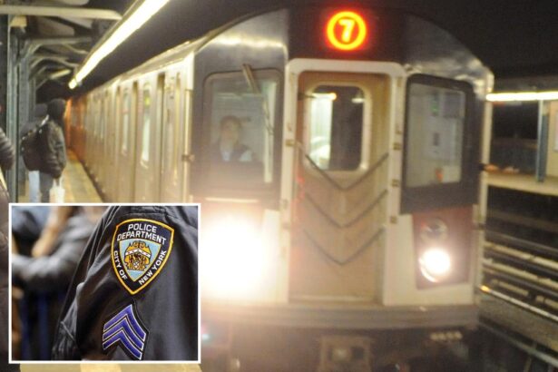 Unhinged attacker bashes NYC straphanger with butt of knife