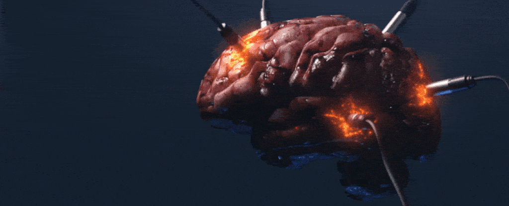 Uploading The Human Mind Could Become a Reality, Expert Says : ScienceAlert