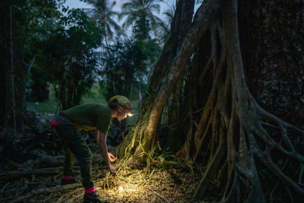 Using eDNA to track world’s biodiversity : NPR