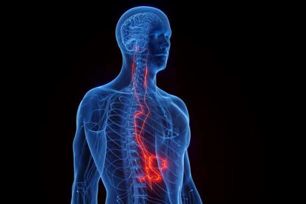 Vagus nerve stimulation shows promise for spinal cord injury recovery