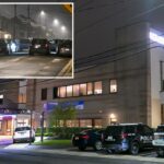 Wannabe thief stabs Long Island cop, then tries to hide: police
