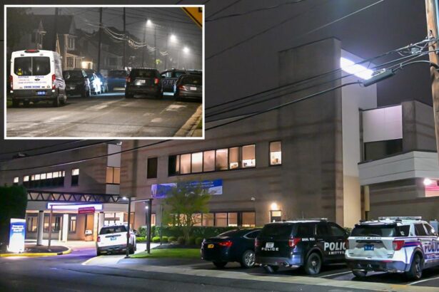 Wannabe thief stabs Long Island cop, then tries to hide: police