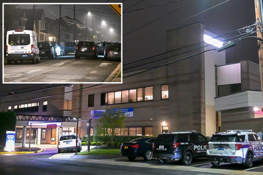 Wannabe thief stabs Long Island cop, then tries to hide: police