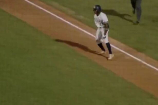 Watch: Home Run Celebration Triggers Team Badly as Parents, Players, Coaches Ejected |