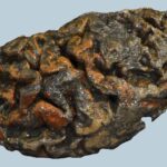 We’re about to unlock the secrets of ancient human brains