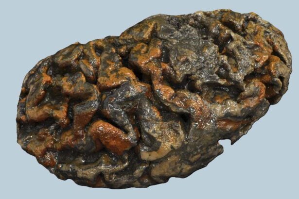 We’re about to unlock the secrets of ancient human brains