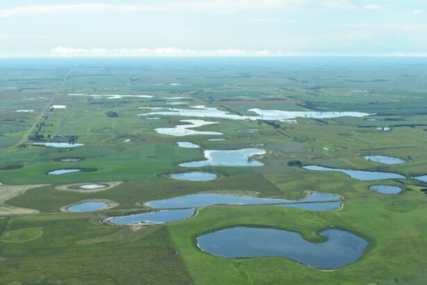 Wetlands and Streams Face a New Threat from the Trump Administration