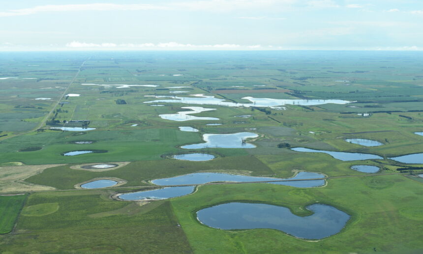 Wetlands and Streams Face a New Threat from the Trump Administration