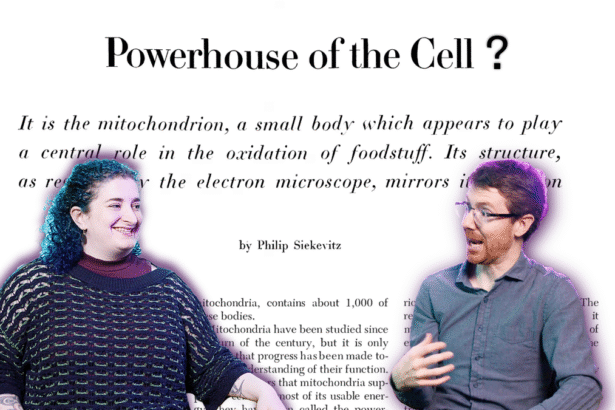 What If Mitochondria Aren’t Only the Powerhouse of the Cell?