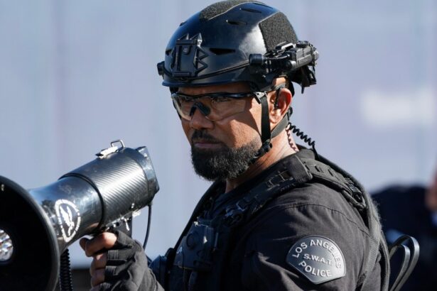 What It’s About, Who Stars, Where It Will Run