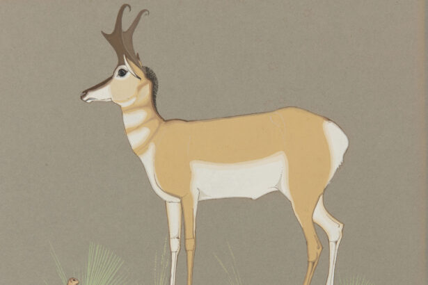 What to See in Upstate New York This May