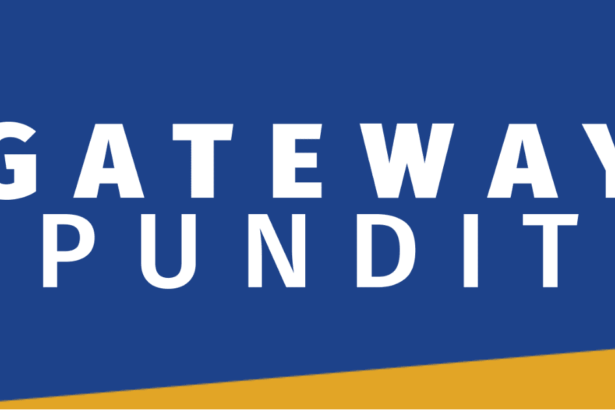 White House Fires Off Sizzling Response to Kamala Harris’ First Speech Since Election: ‘It Was a Great Reminder …’ |