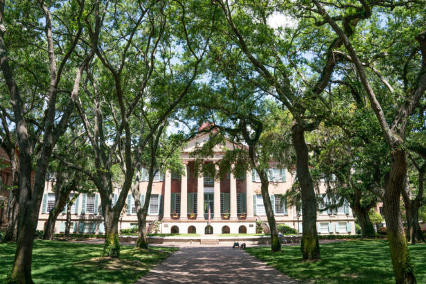 Who Decides How Much You Pay for College? Here’s How Tuition Costs Are Set.