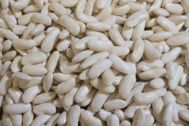 Why fava beans taste gross (and how scientists want to fix them)