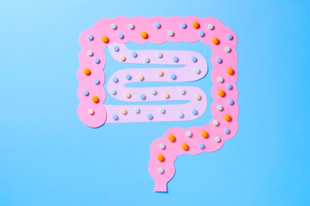 Will prebiotics and probiotics really help you poop? What gut experts say.