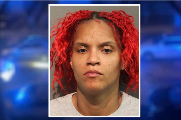 Woman charged with Logan Square armed robbery while on pretrial release for allegedly running over bicyclist on Lakefront Trail