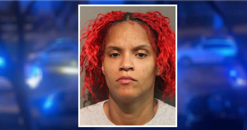 Woman charged with Logan Square armed robbery while on pretrial release for allegedly running over bicyclist on Lakefront Trail