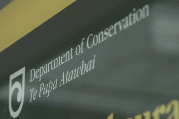 Women mainly affected in planned Doc cuts