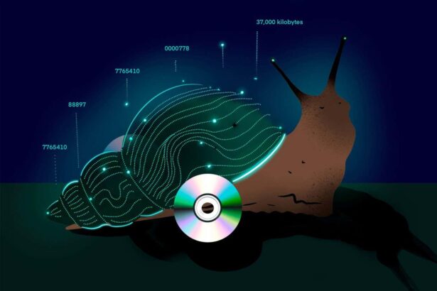 Would snails be better than whales for explaining big data? Maybe