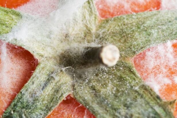 Your Fridge May Be an Incubator For Bacteria – Here’s How to Prevent It : ScienceAlert