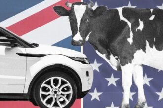 the winners and losers from Donald Trump’s trade deal with Britain