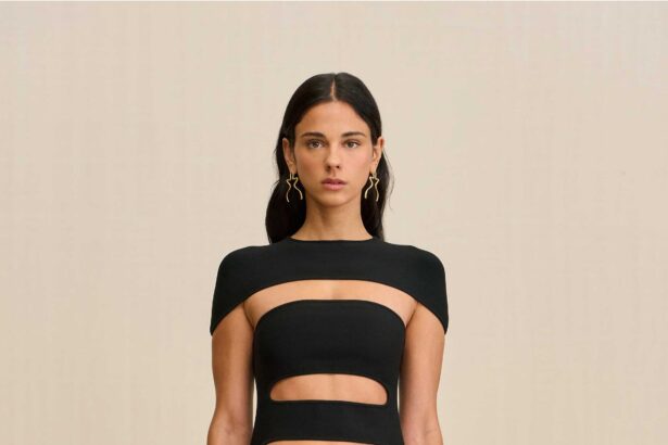 Cult Gaia Pre-Fall 2025 Collection