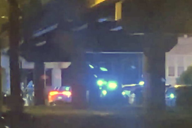 1 detained, 3 escape after armed security guard is carjacked near Wicker Park