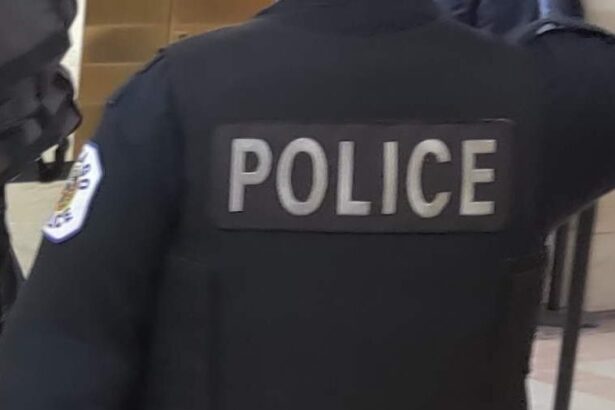 16-year-old was part of robbery crew that swept from West Loop to Humboldt Park