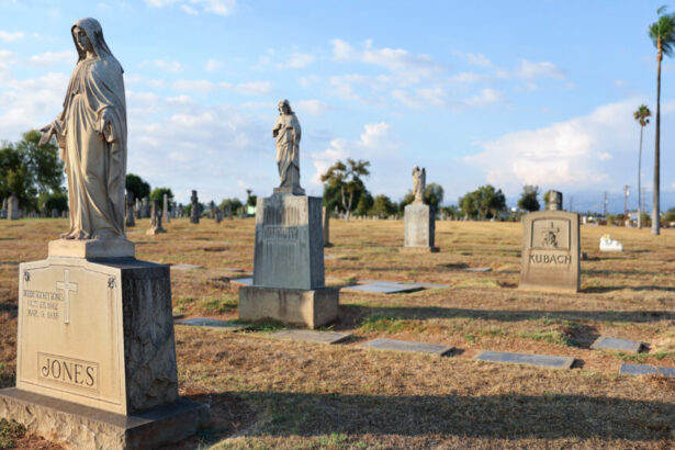 16,000 deaths tied to Medicaid cuts in GOP budget bill, study warns