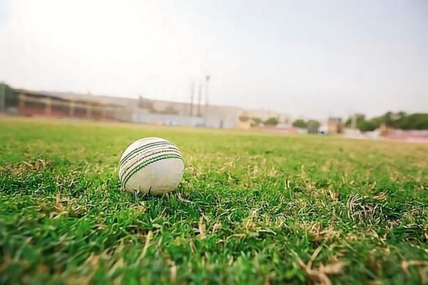 Fantasy Cricket Tips, Today’s Playing 11 and Pitch Report for Cambodia tour of Indonesia 2025, T20I 6