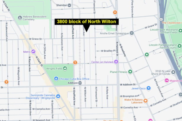 2 men sexually assault woman in Lakeview alley